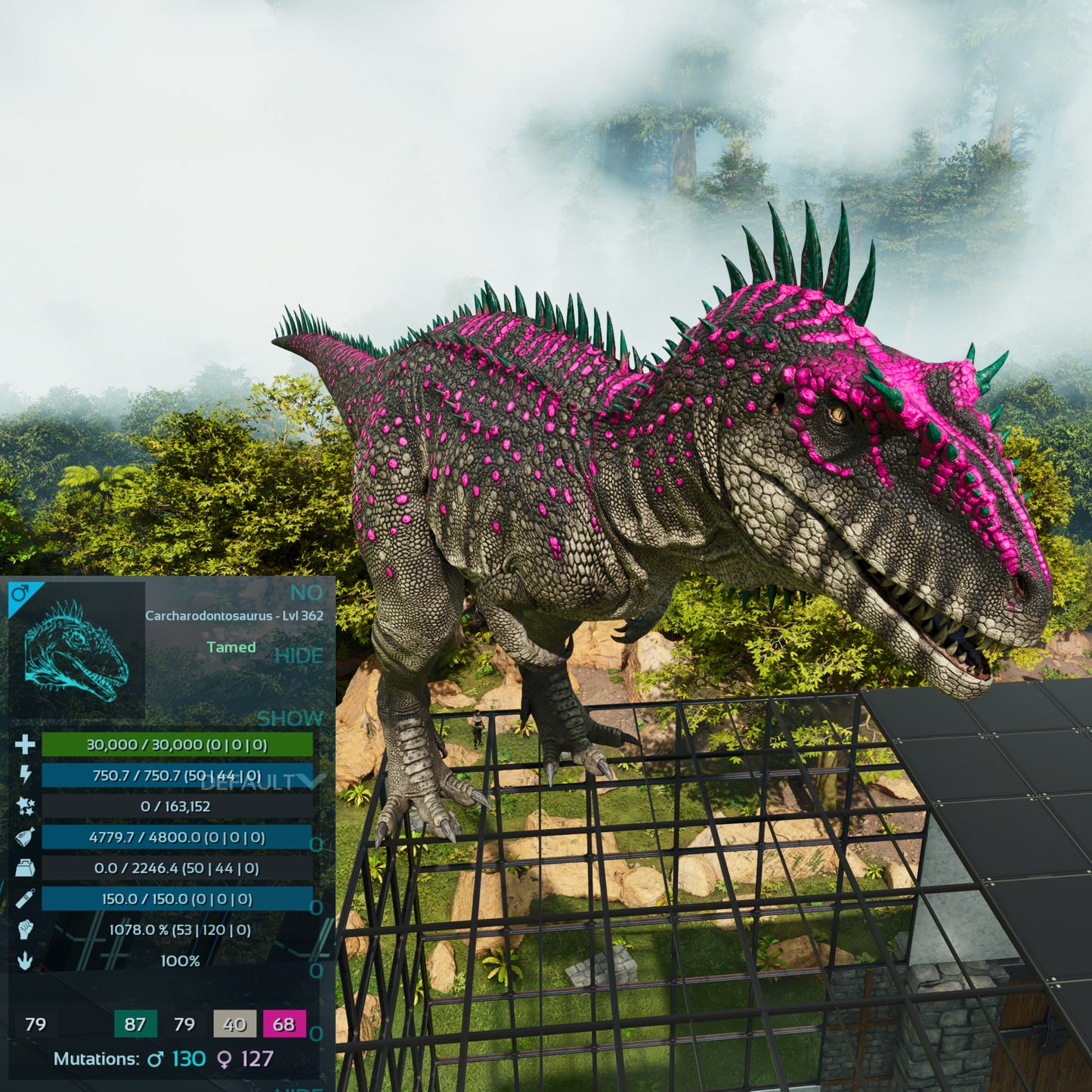 🏷️ Carcharodontosaurus / Carcharo 1078dmg imprint 🏷️