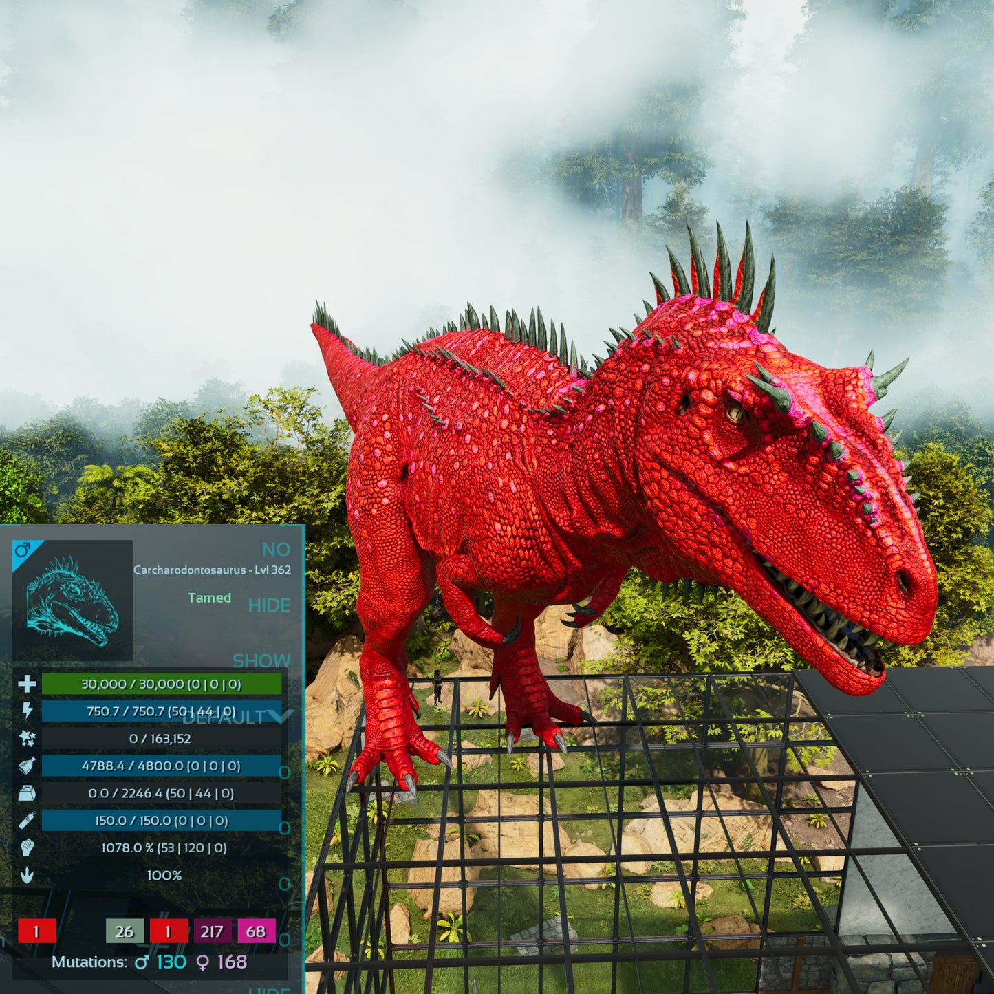 🏷️ Carcharodontosaurus / Carcharo 1078dmg imprint 🏷️