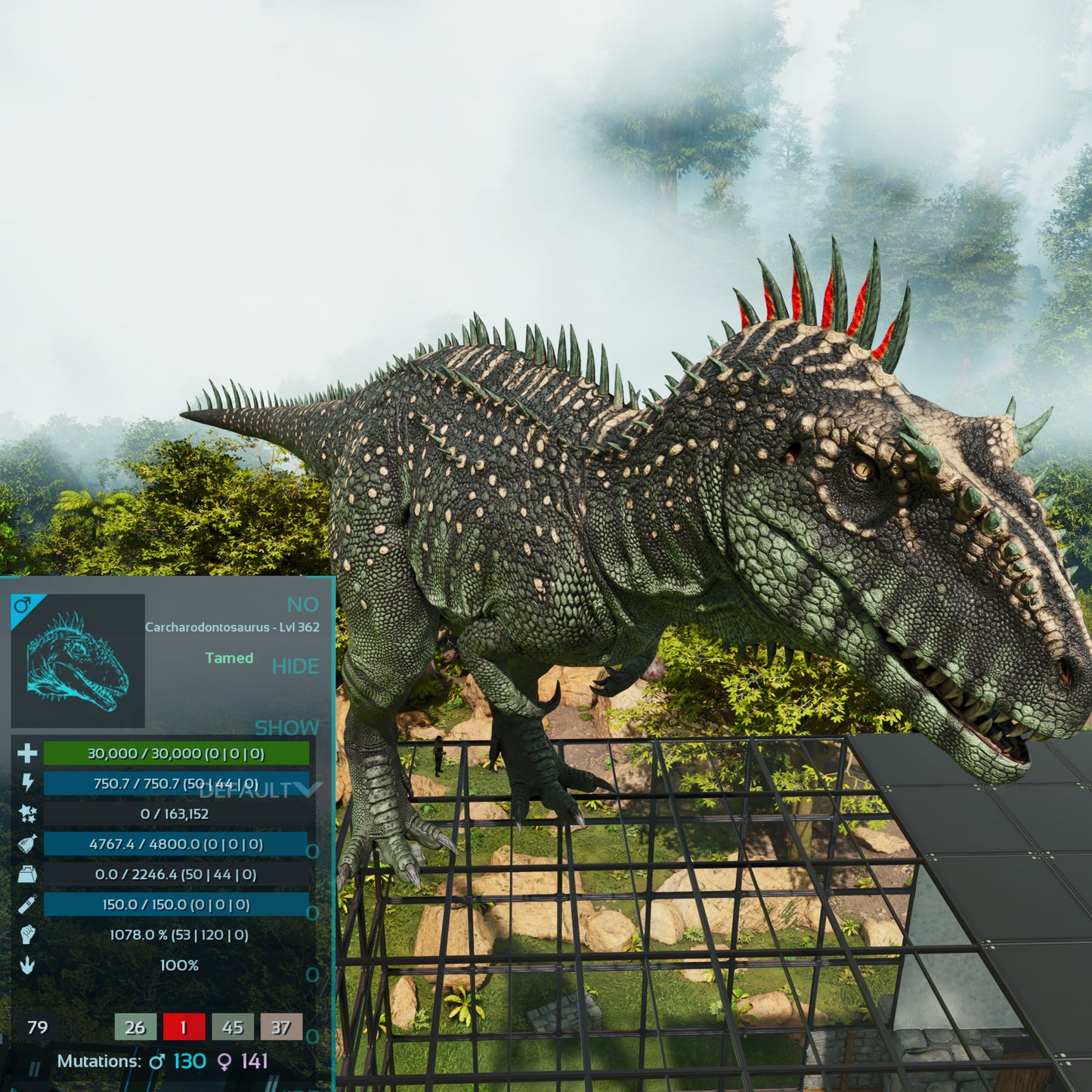 🏷️ Carcharodontosaurus / Carcharo 1078dmg imprint 🏷️