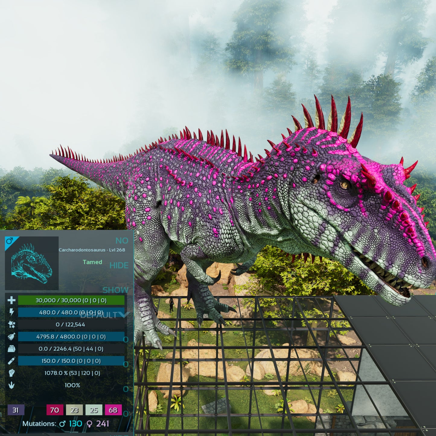 🏷️ Carcharodontosaurus / Carcharo 1078dmg imprint 🏷️