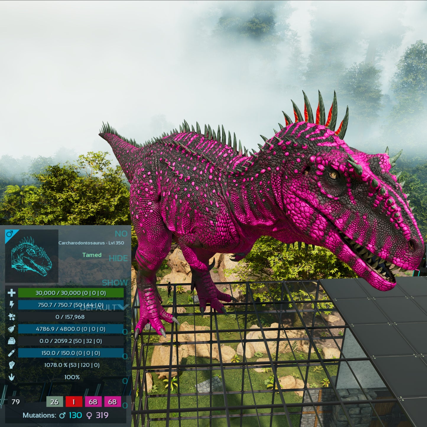 🏷️ Carcharodontosaurus / Carcharo 1078dmg imprint 🏷️