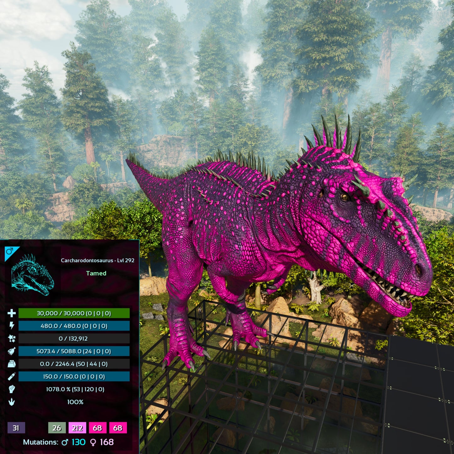 🏷️ Carcharodontosaurus / Carcharo 1078dmg imprint 🏷️