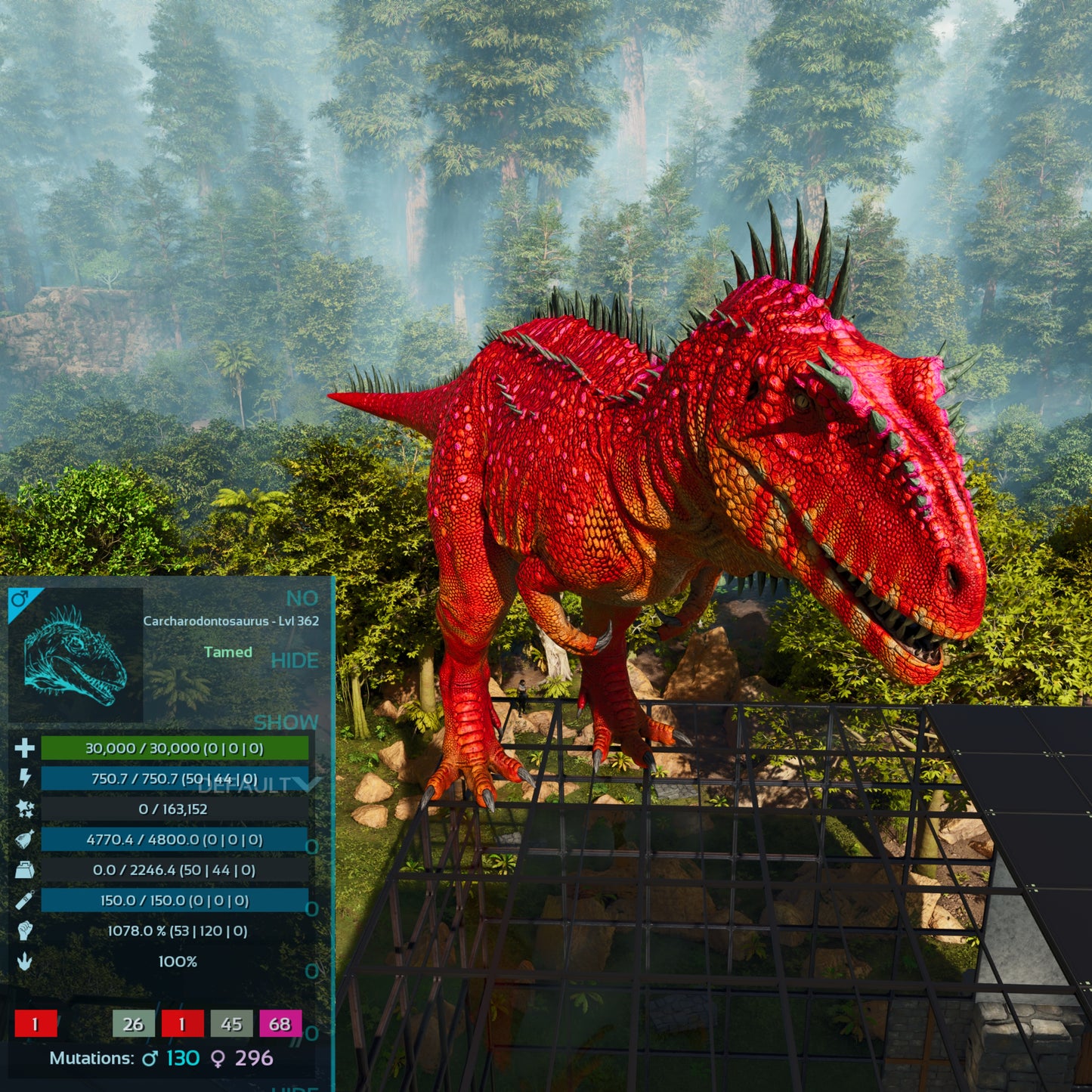 🏷️ Carcharodontosaurus / Carcharo 1078dmg imprint 🏷️