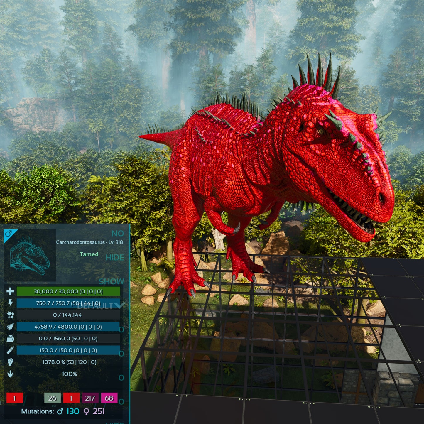🏷️ Carcharodontosaurus / Carcharo 1078dmg imprint 🏷️