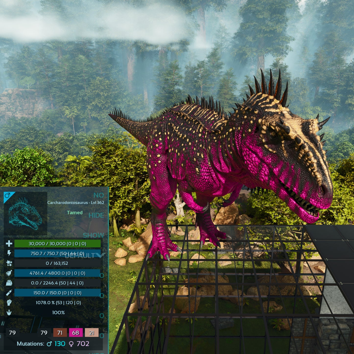 🏷️ Carcharodontosaurus / Carcharo 1078dmg imprint 🏷️