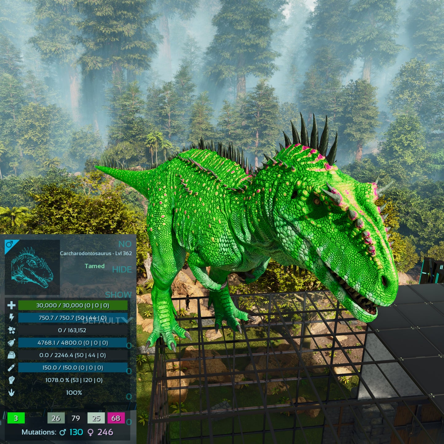 🏷️ Carcharodontosaurus / Carcharo 1078dmg imprint 🏷️