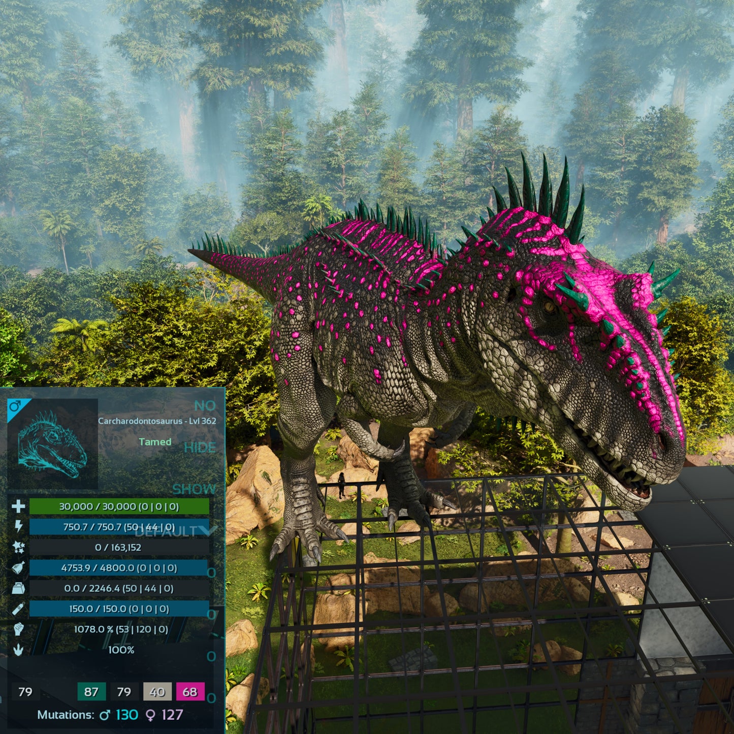 🏷️ Carcharodontosaurus / Carcharo 1078dmg imprint 🏷️