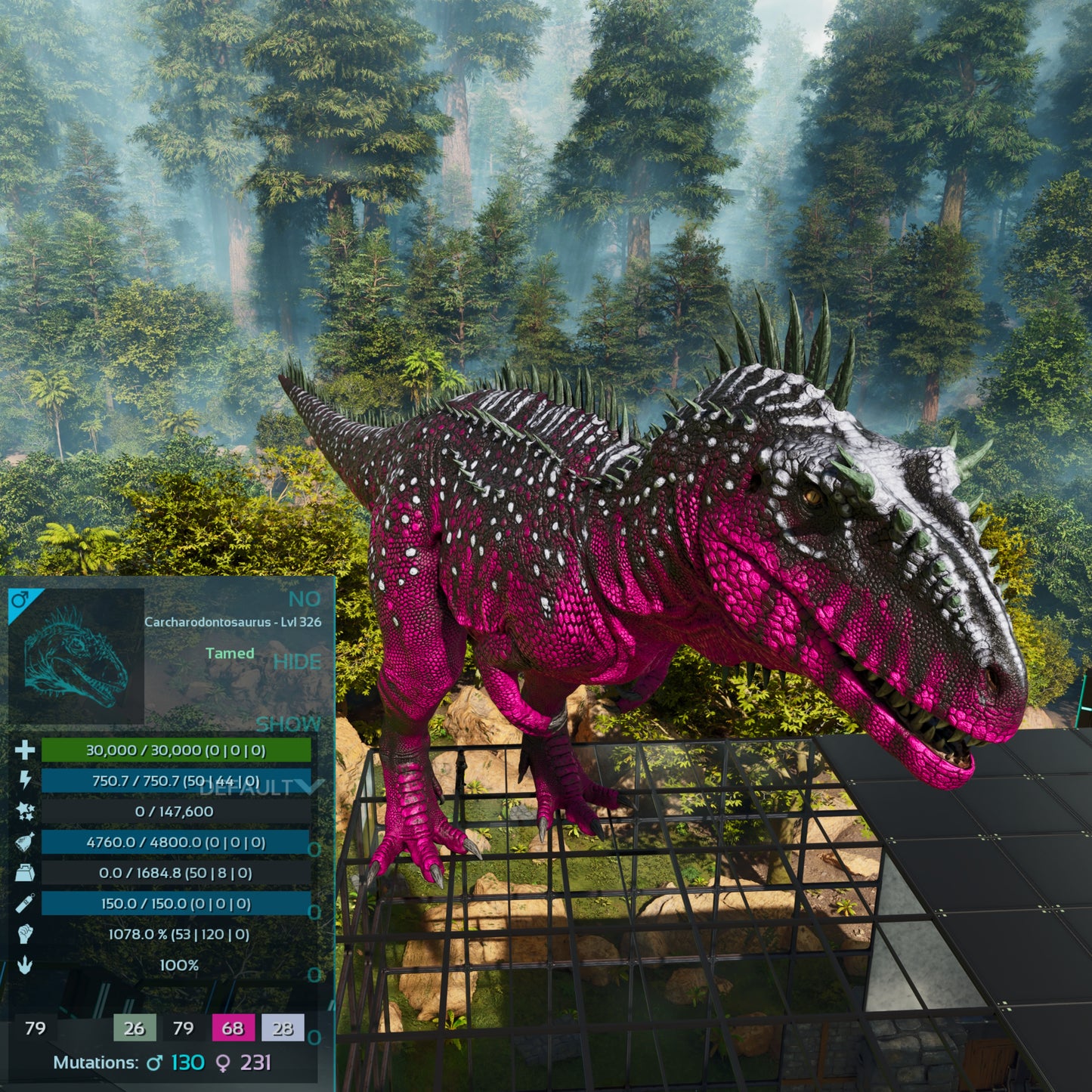 🏷️ Carcharodontosaurus / Carcharo 1078dmg imprint 🏷️
