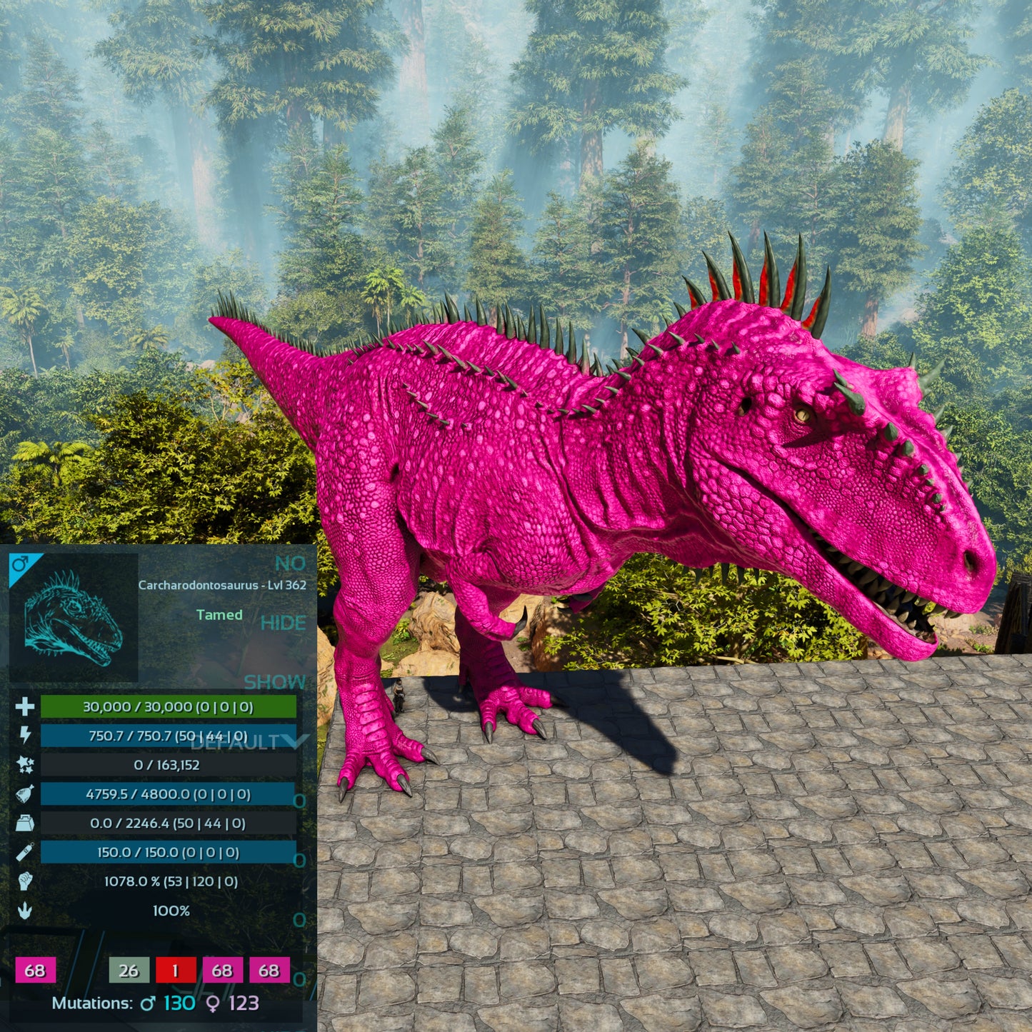 🏷️ Carcharodontosaurus / Carcharo 1078dmg imprint 🏷️