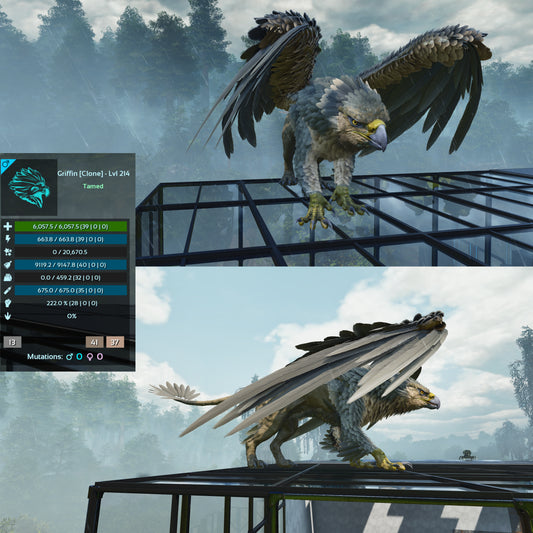 Griffin Clone High Lvl Ragnarok tame