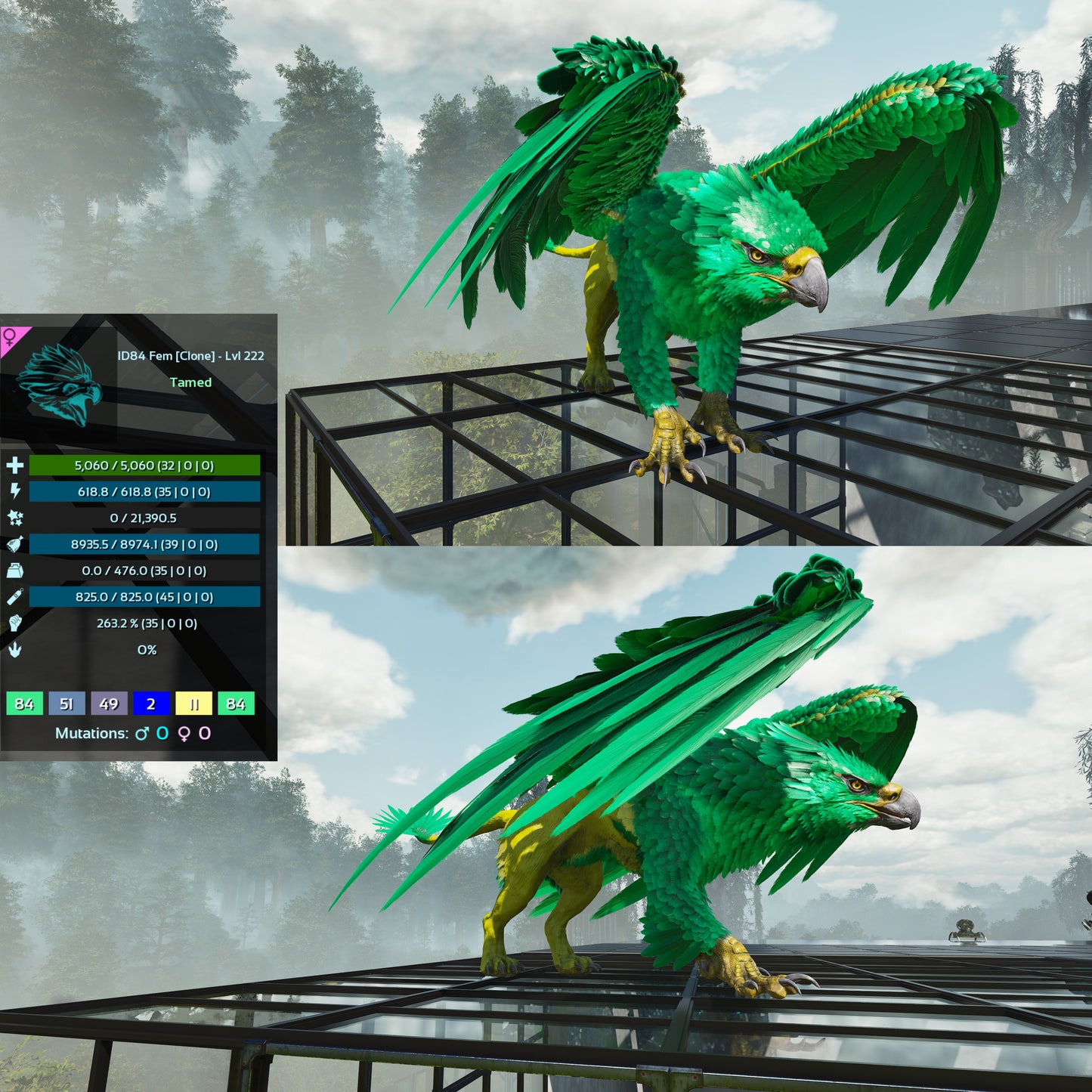Griffin Clone High Lvl Ragnarok tame