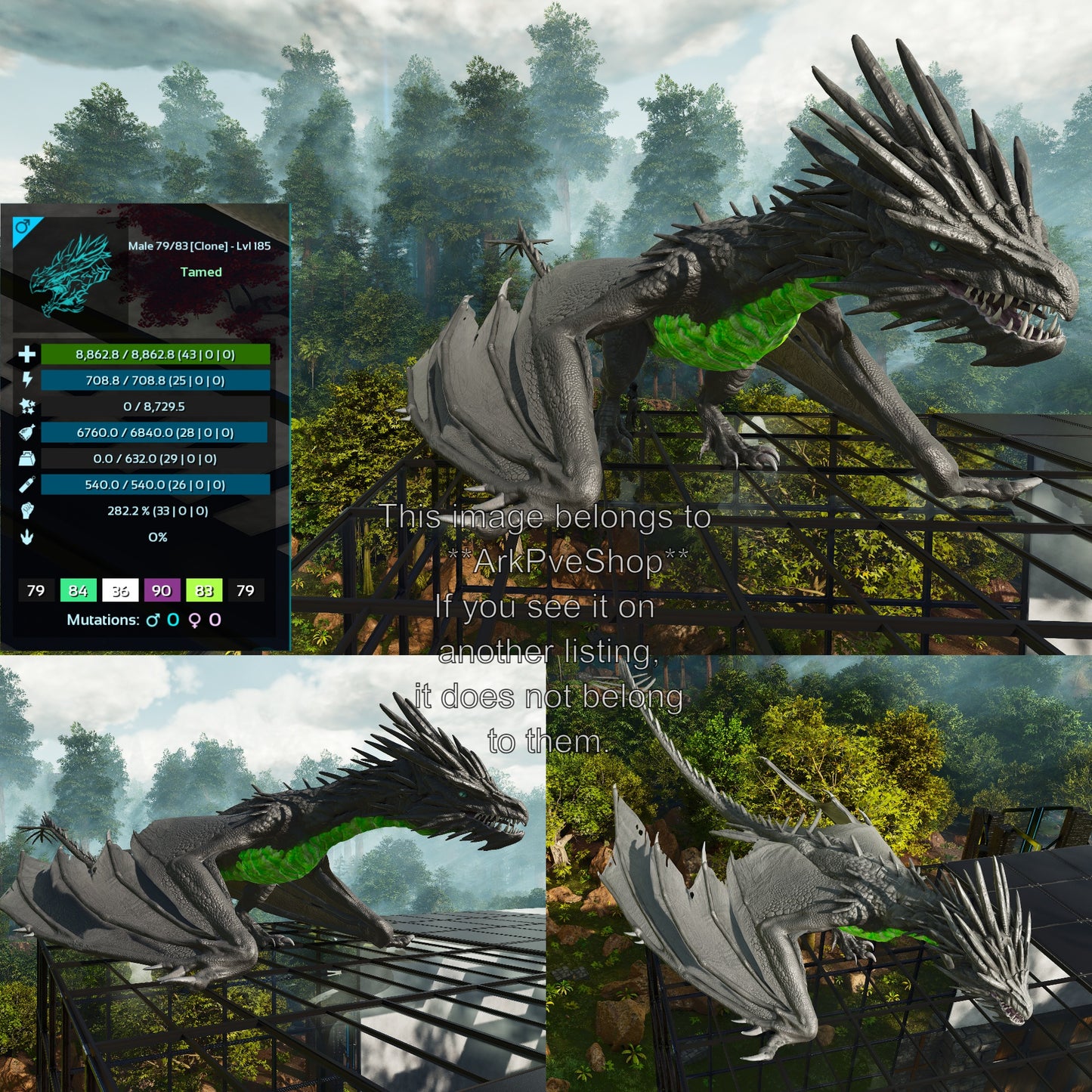Ice Wyvern Clone High LVL Dragon