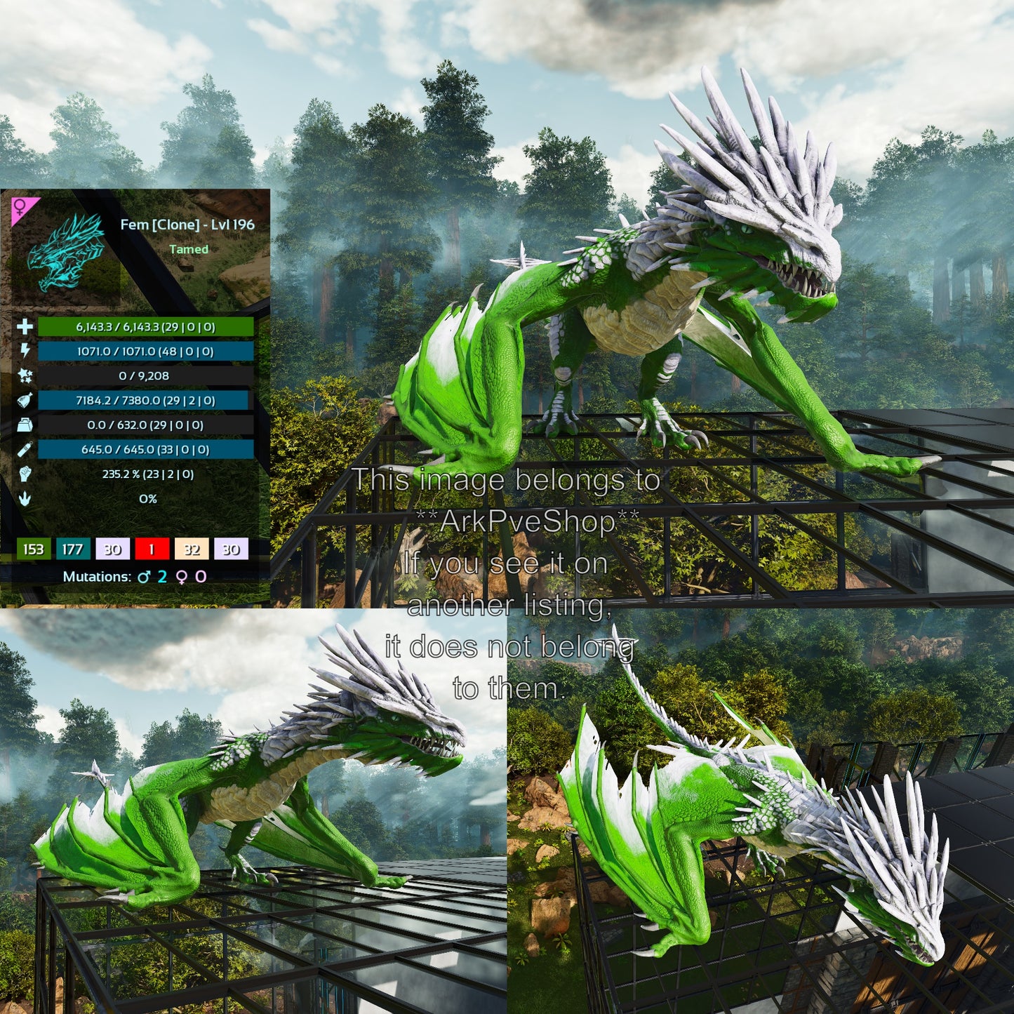 Ice Wyvern Clone High LVL Dragon