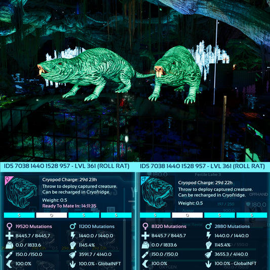 Roll Rat 1145Dmg Imprinted - 361 Level