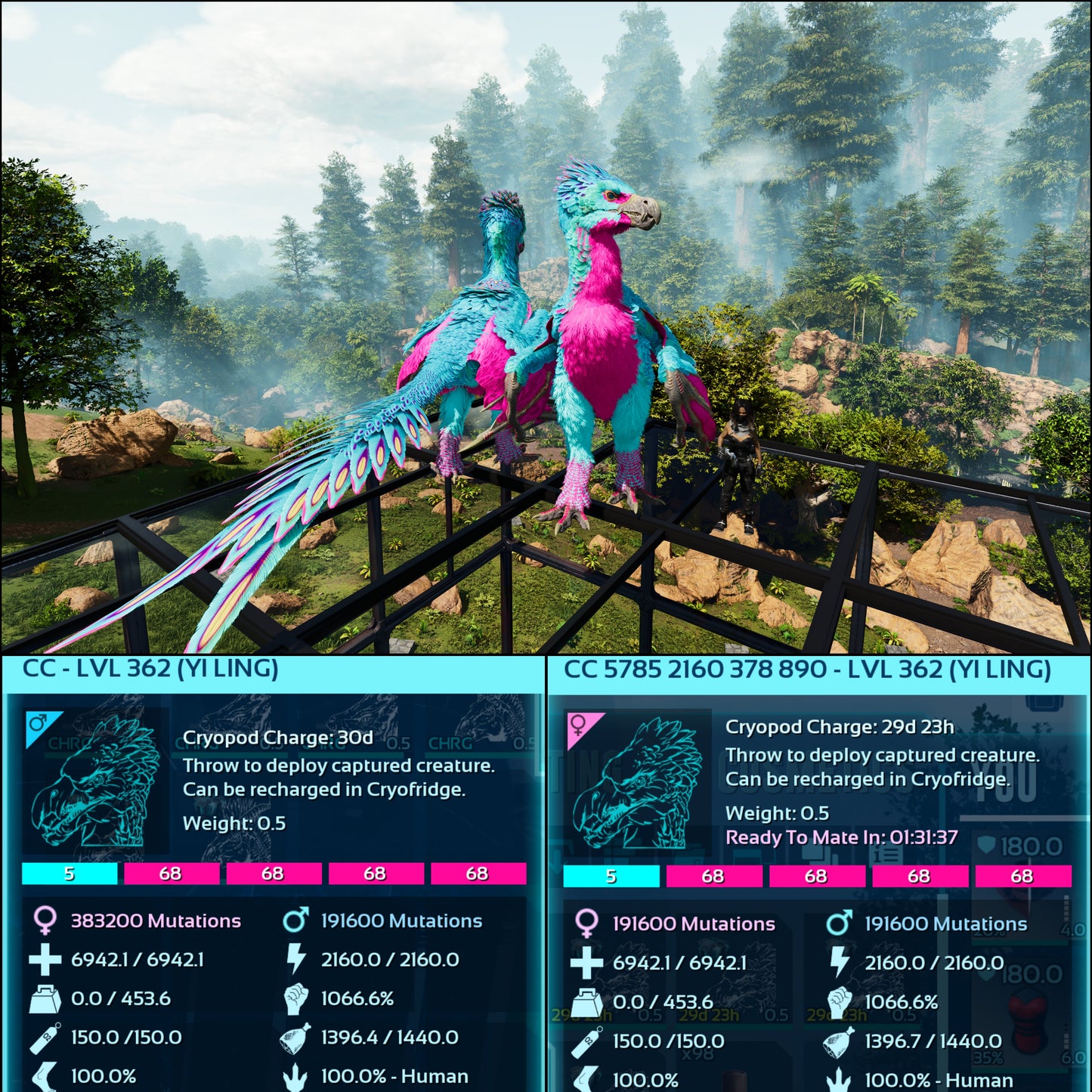 🏷️ Yi Ling - Max Level 362 🏷️