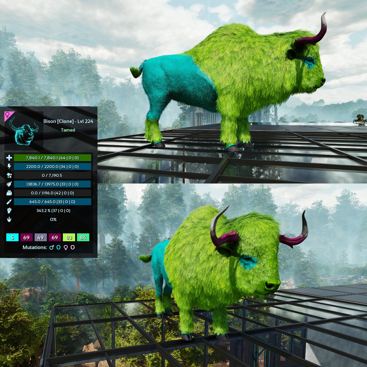 Bison Low&High Lvl Clone
