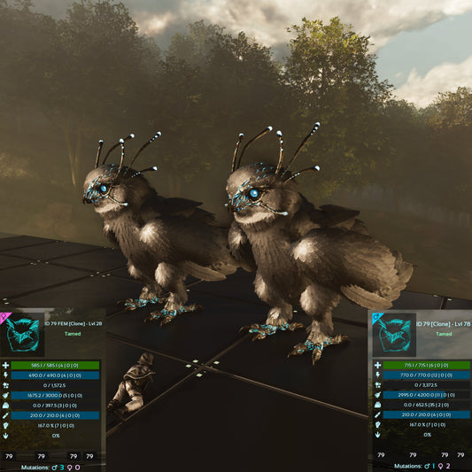 🏷️ Snow Owl -  Solid /  Clone  / Low Level 🏷️