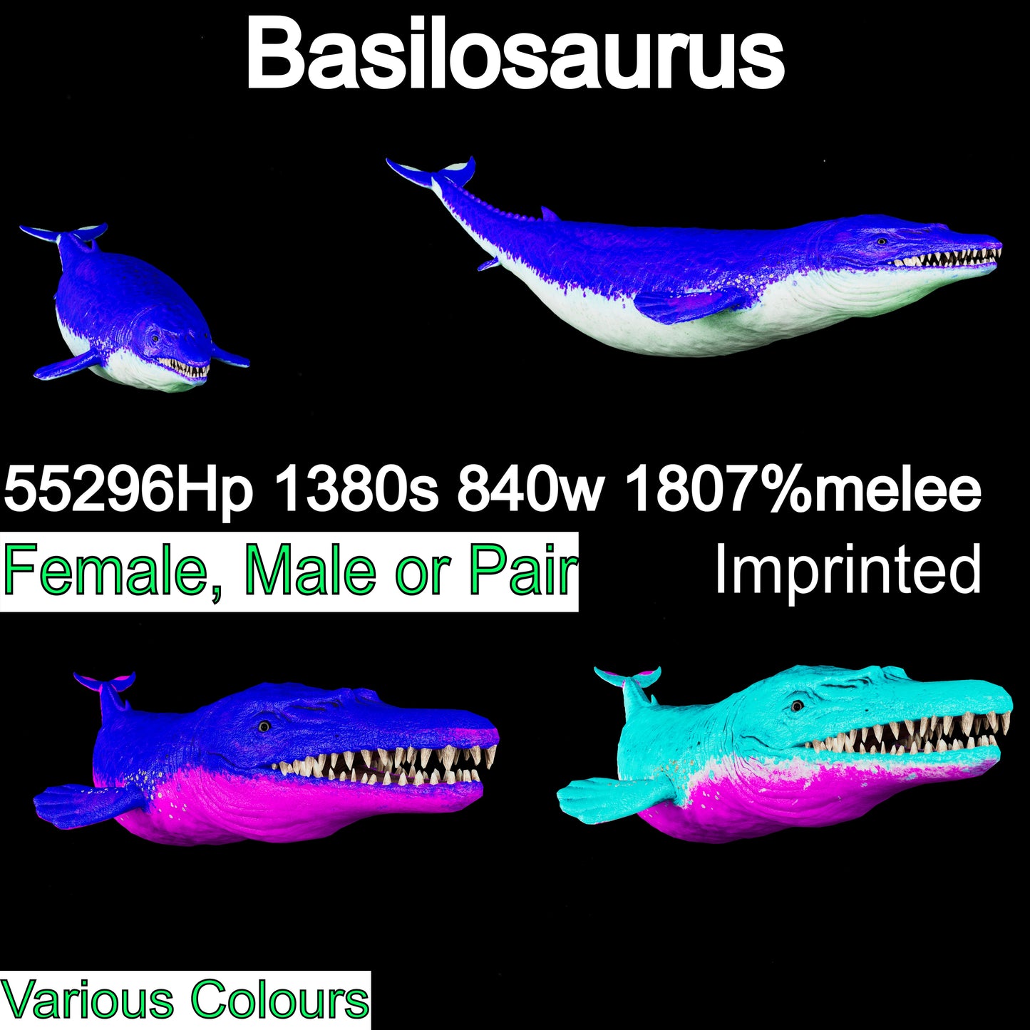 Basilosaurus / Basilo 55K Hp 1807%Melee