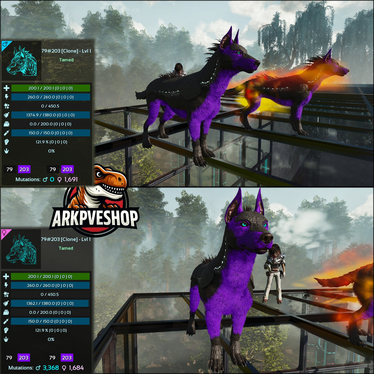 Armadoggo Lvl 1 Clone