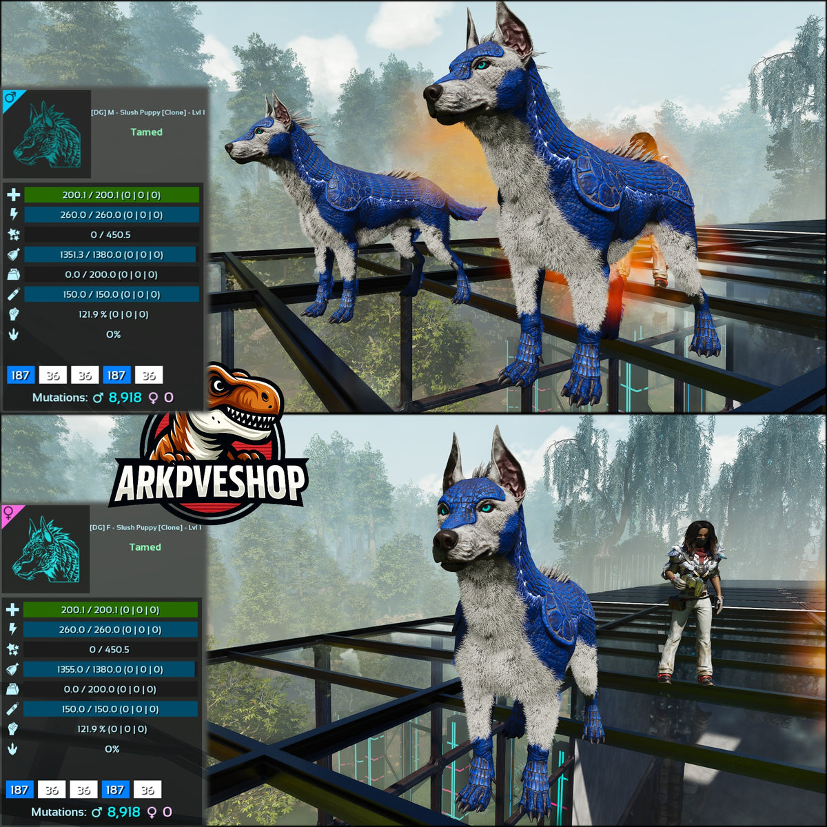Armadoggo Lvl 1 Clone