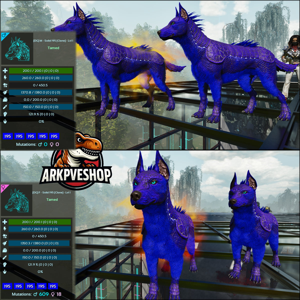 Armadoggo Lvl 1 Clone