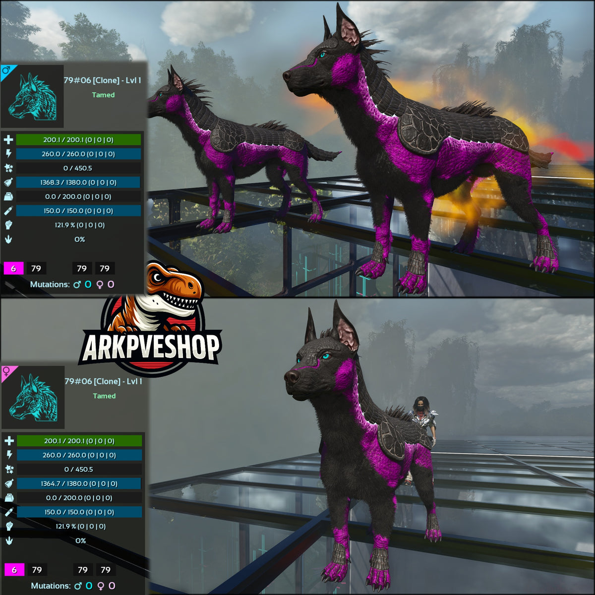 Armadoggo Lvl 1 Clone