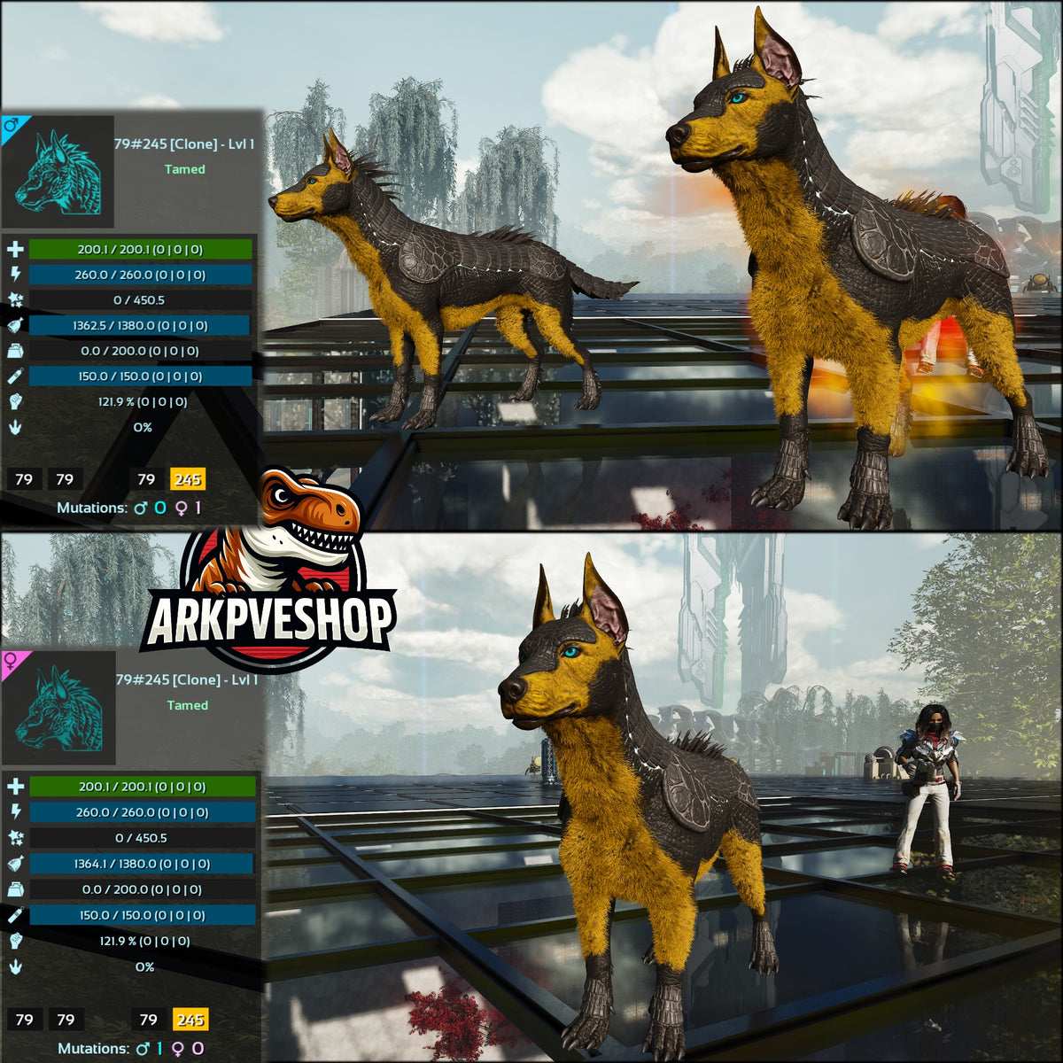 Armadoggo Lvl 1 Clone