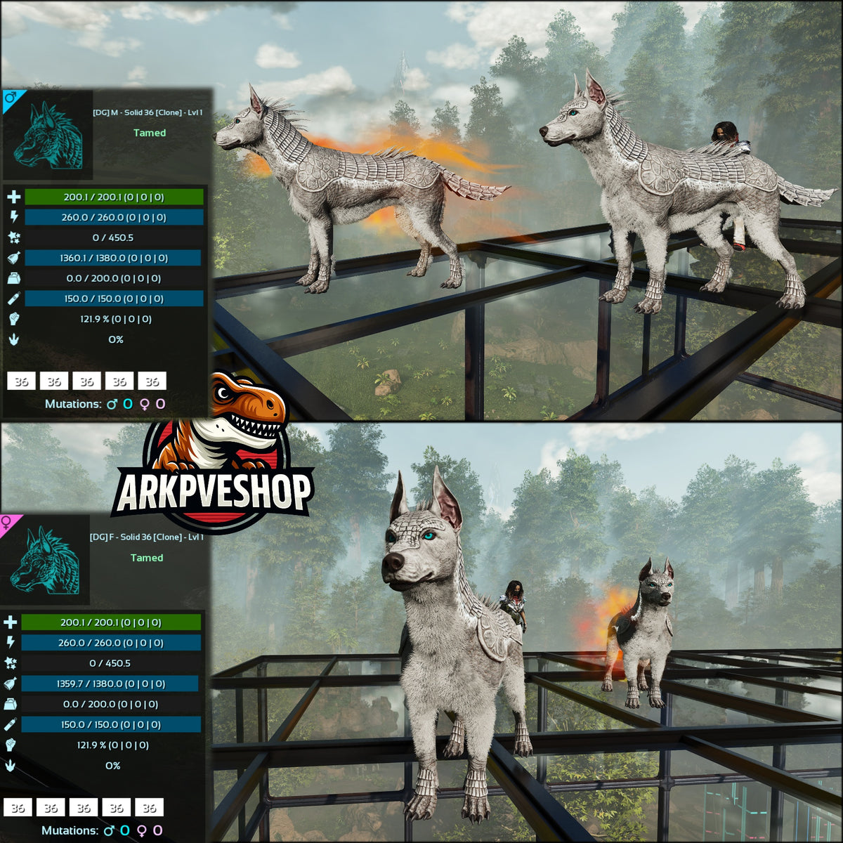 Armadoggo Lvl 1 Clone