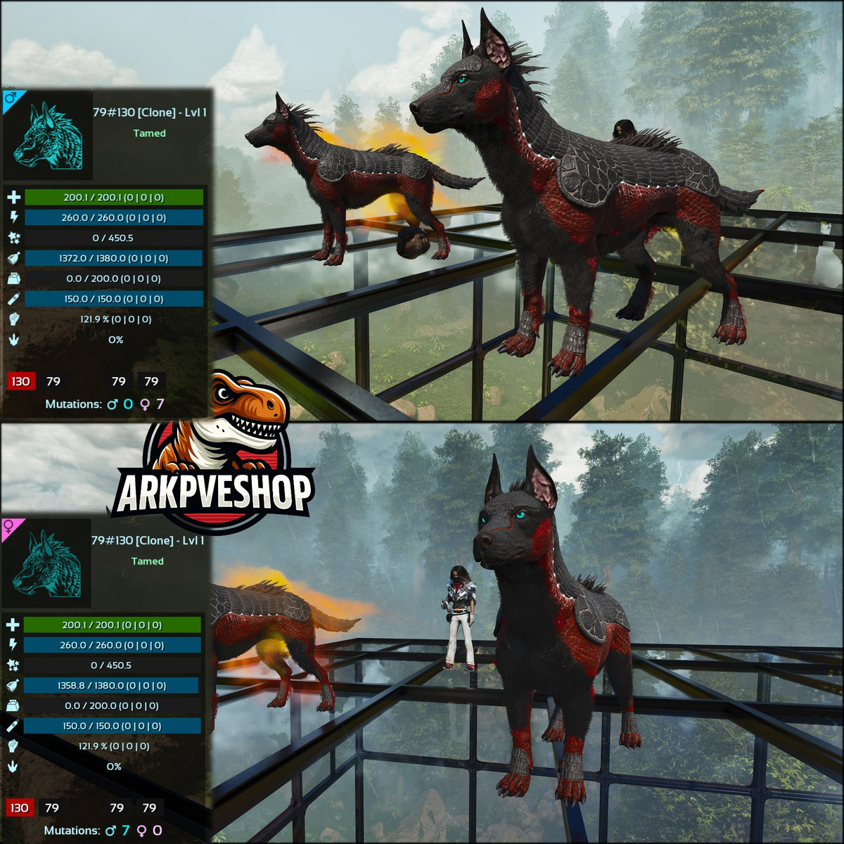 Armadoggo Lvl 1 Clone