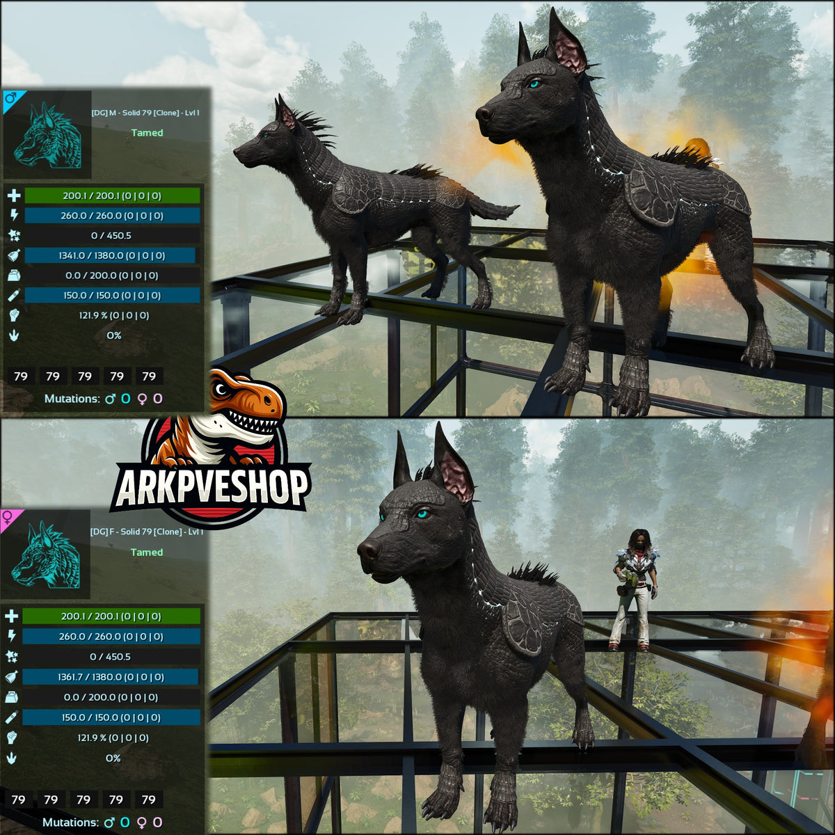 Armadoggo Lvl 1 Clone