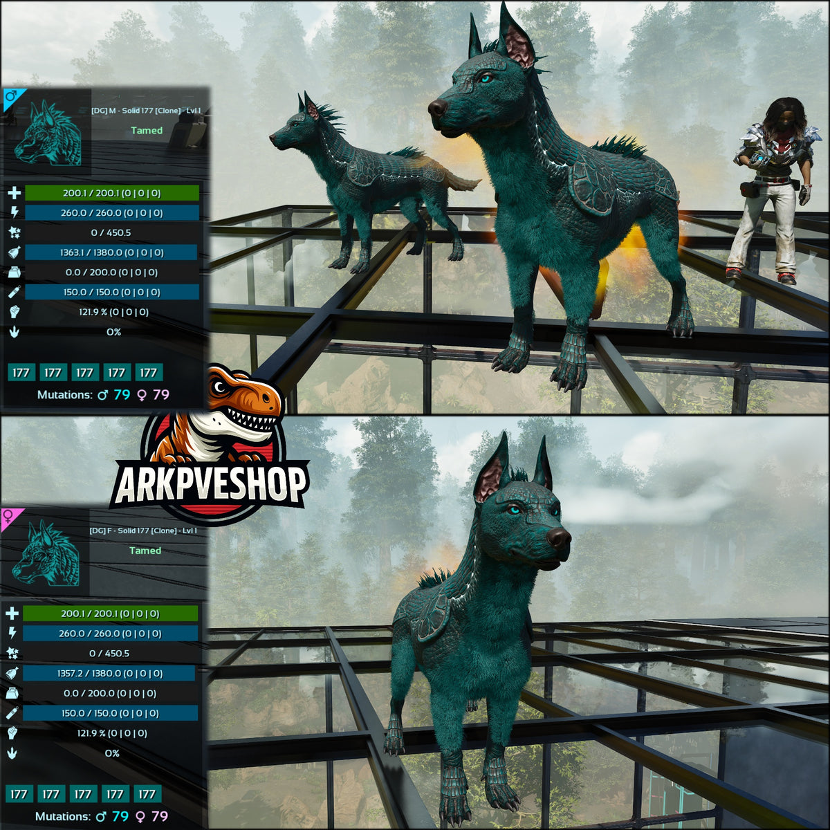 Armadoggo Lvl 1 Clone