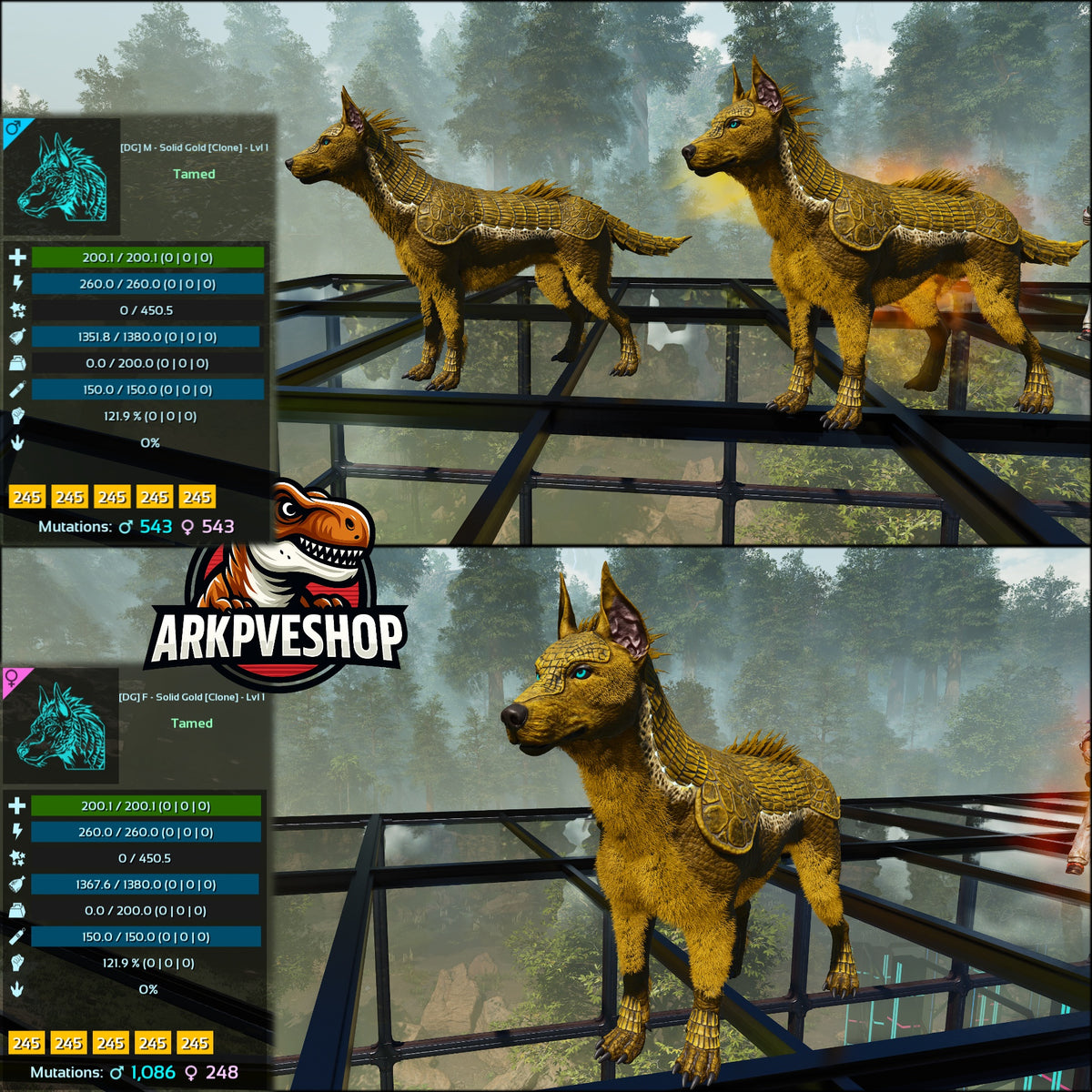 Armadoggo Lvl 1 Clone