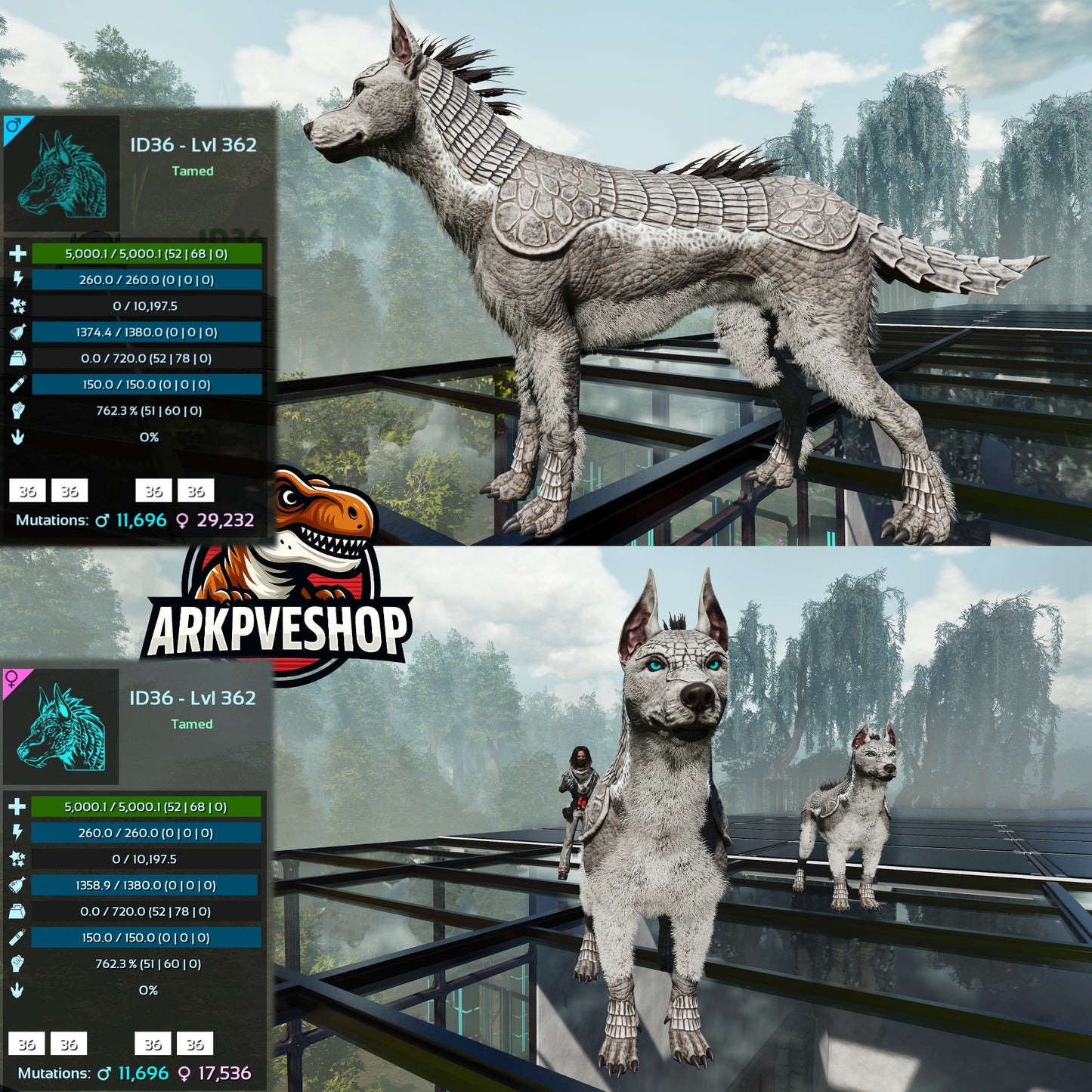 Armadoggo 362Lvl Top