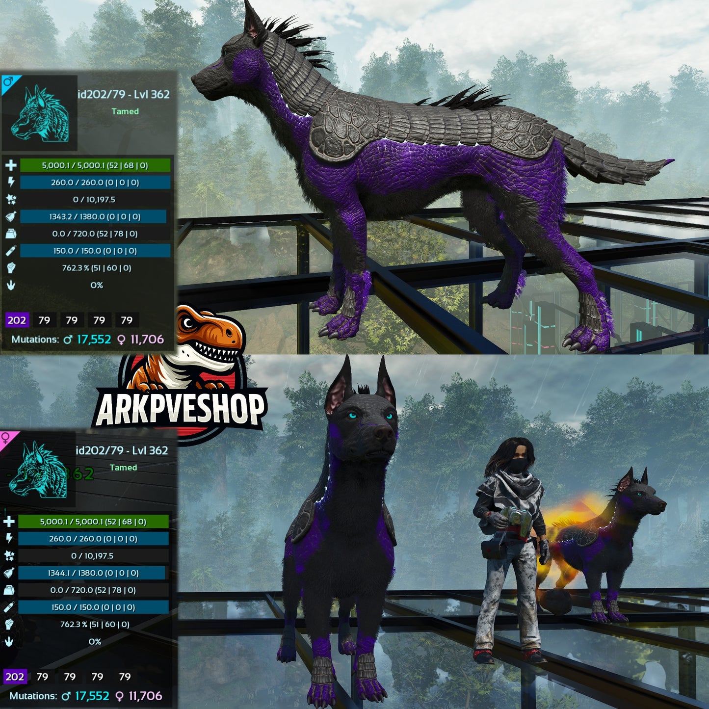Armadoggo 362Lvl Top