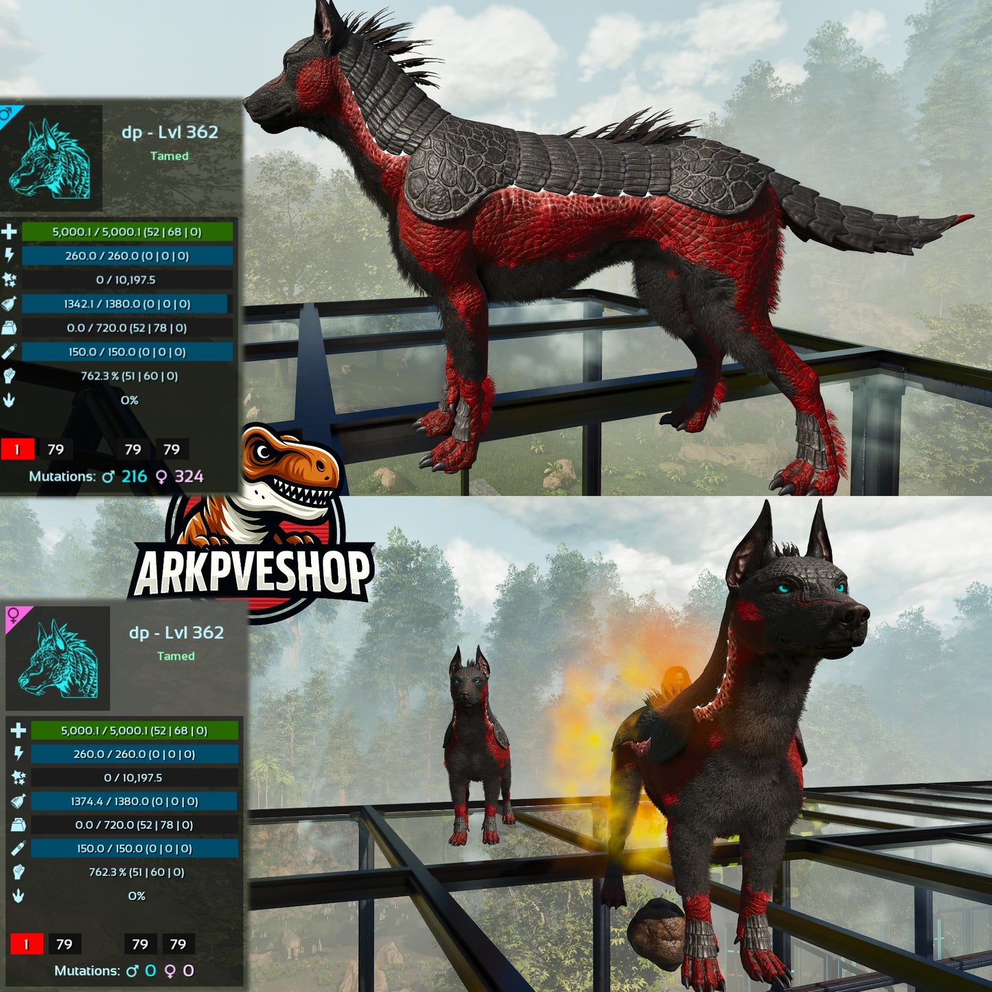 Armadoggo 362Lvl Top
