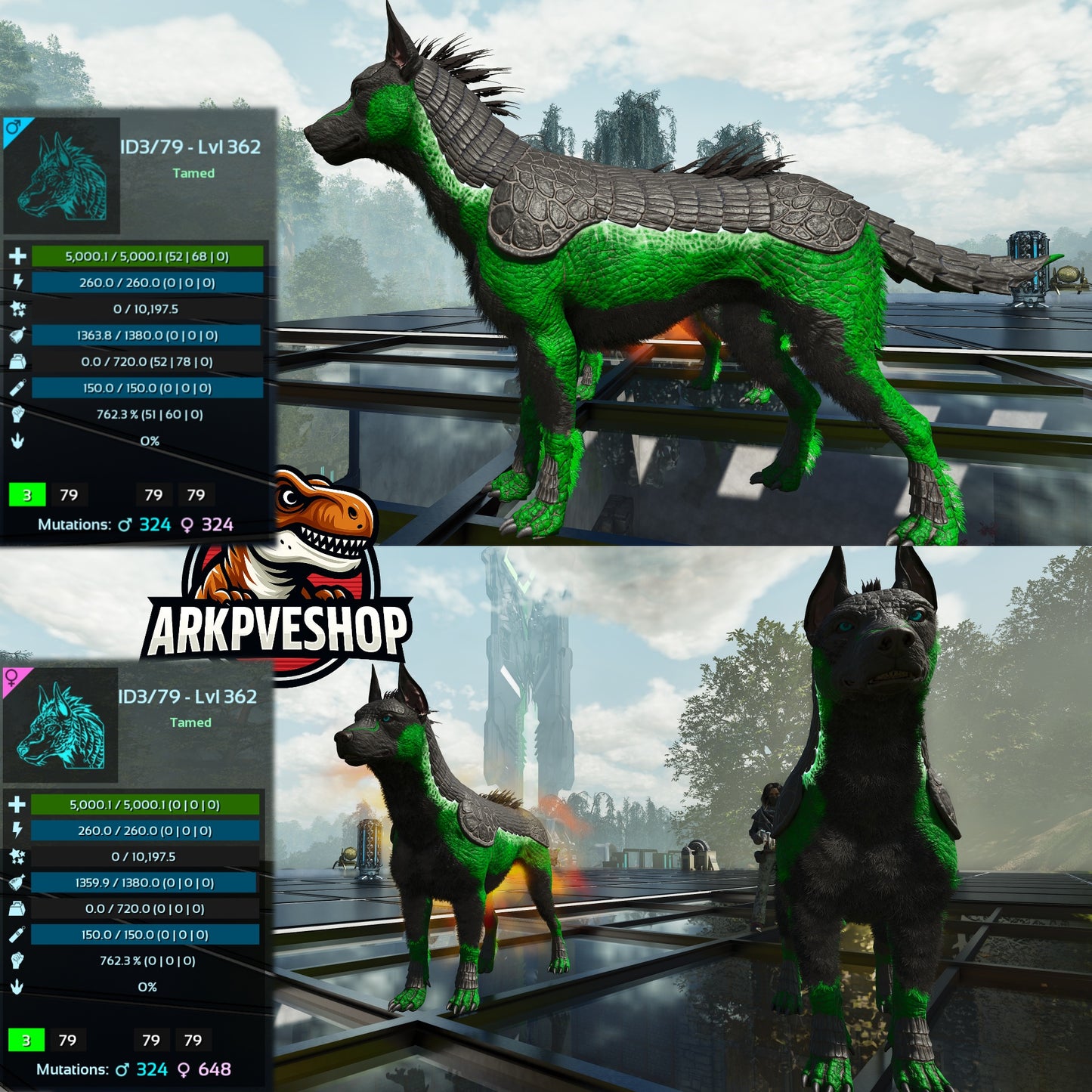 Armadoggo 362Lvl Top