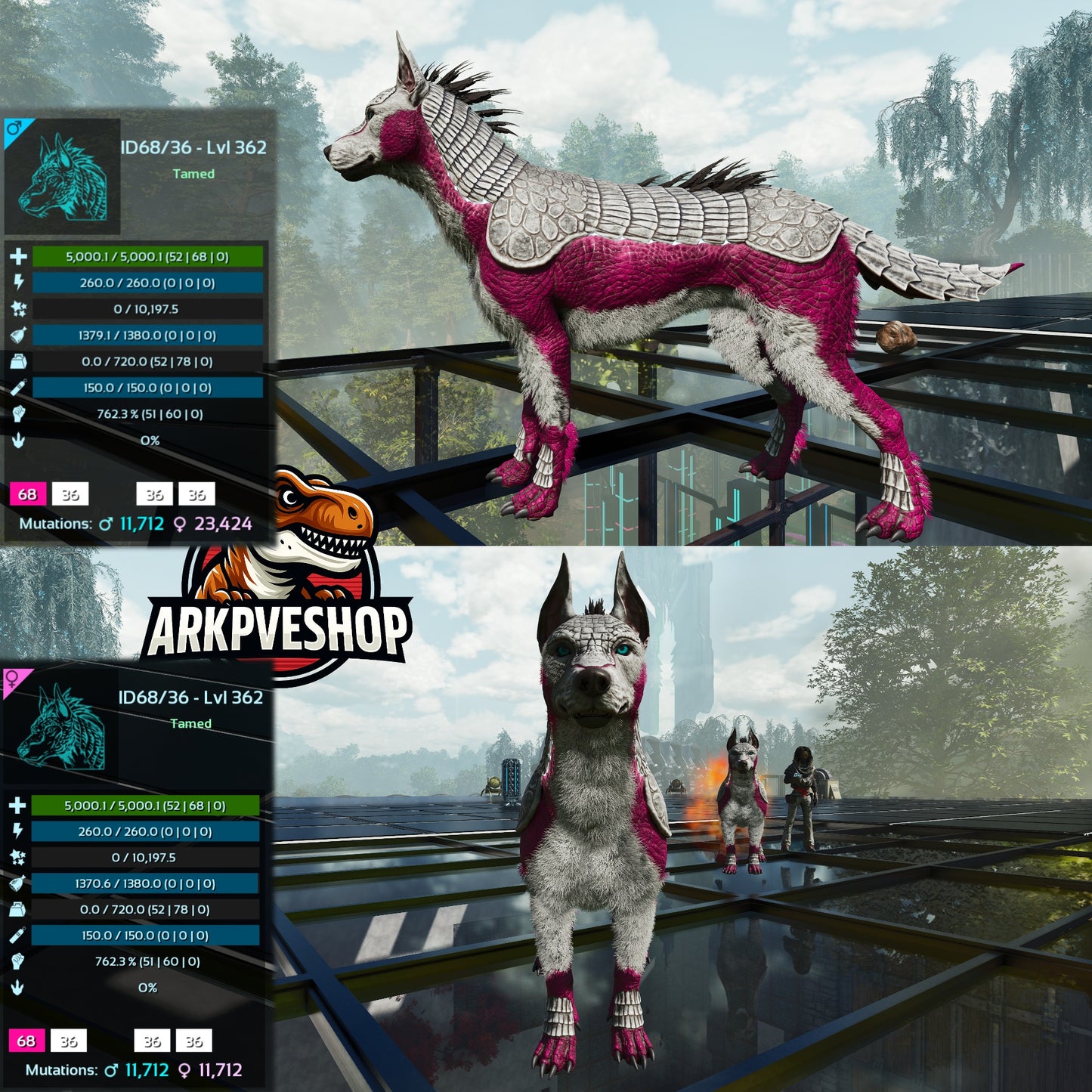 Armadoggo 362Lvl Top