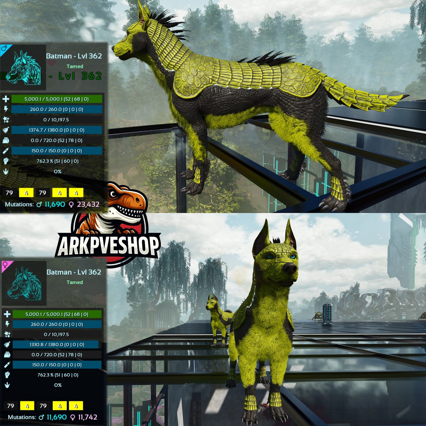 Armadoggo 362Lvl Top