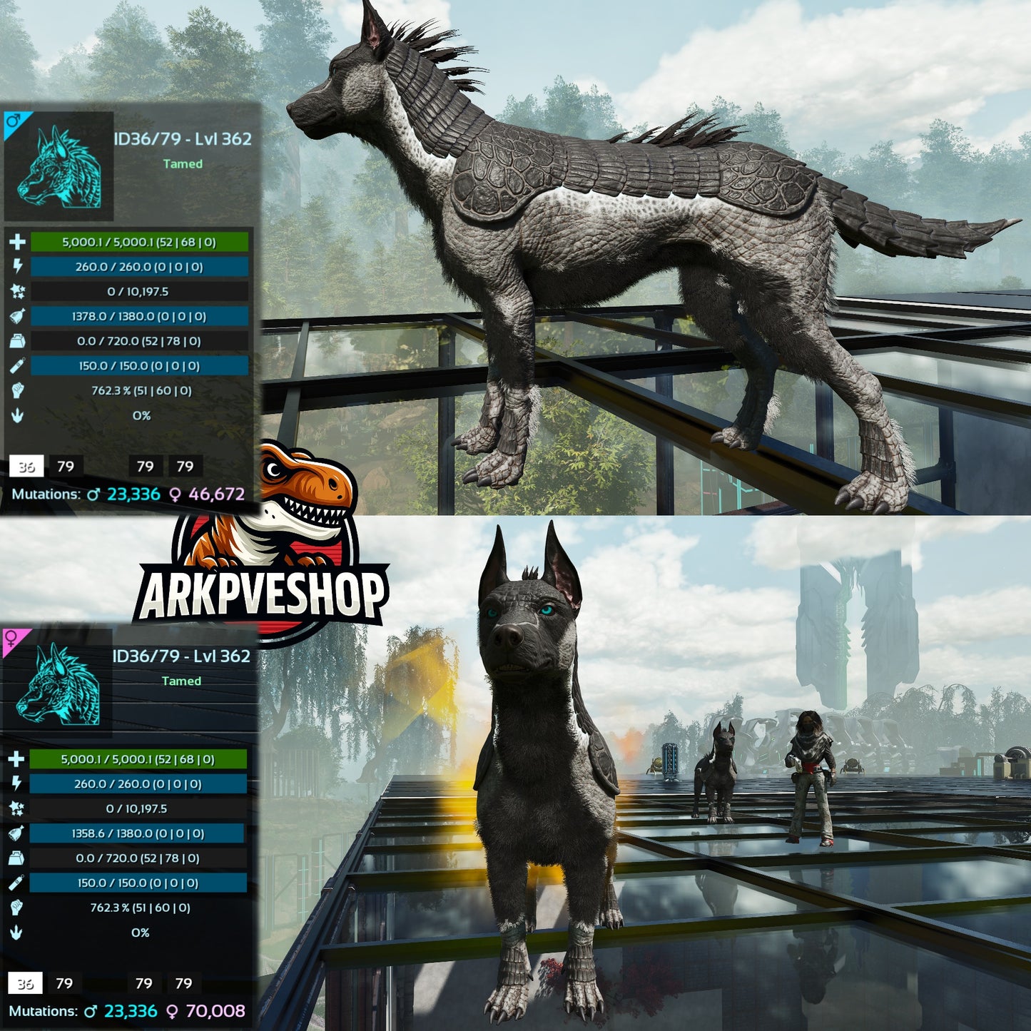 Armadoggo 362Lvl Top