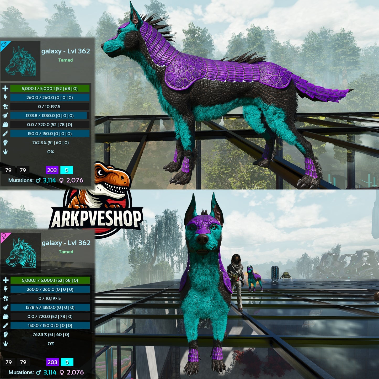 Armadoggo 362Lvl Top