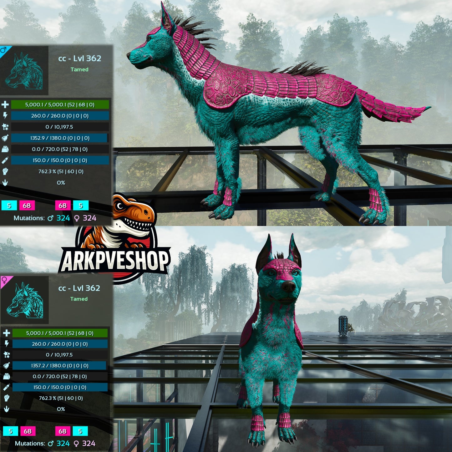 Armadoggo 362Lvl Top