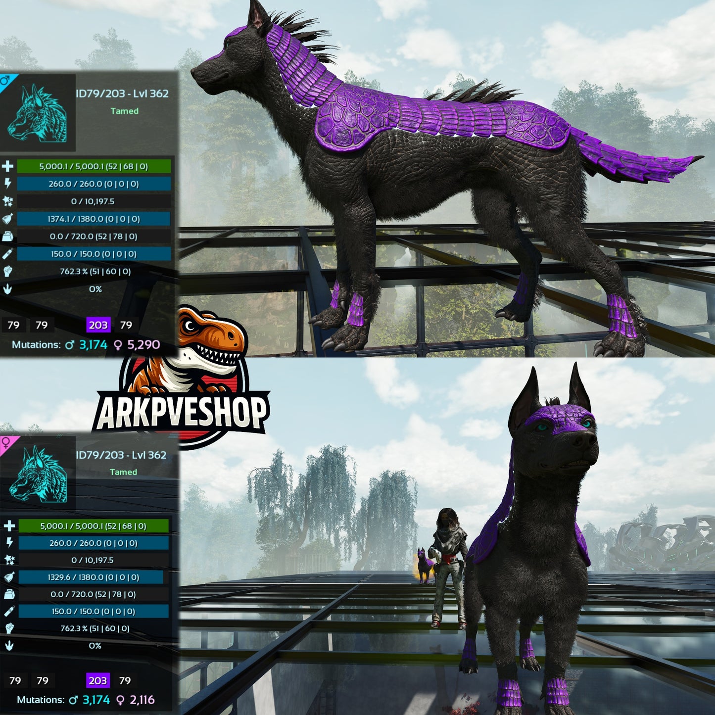 Armadoggo 362Lvl Top