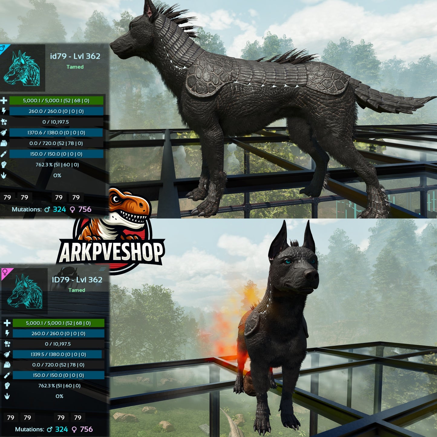 Armadoggo 362Lvl Top