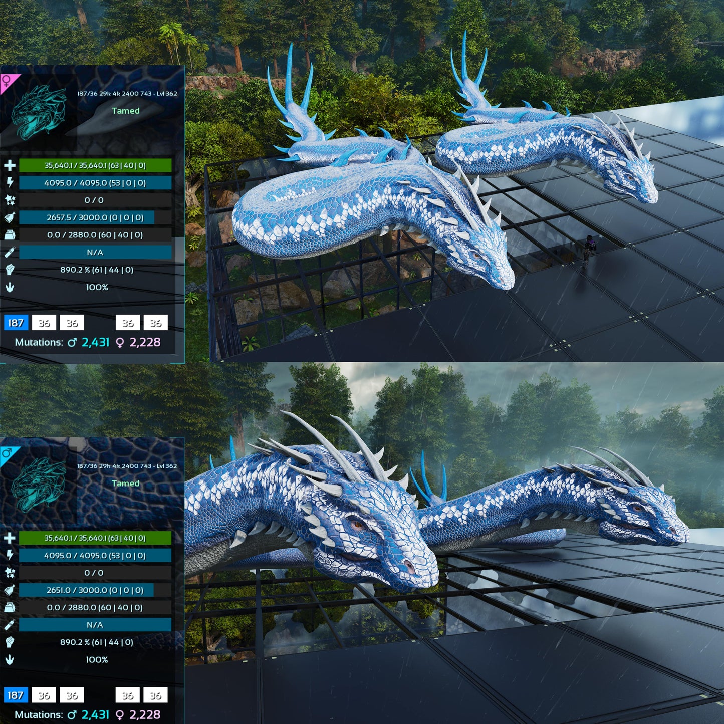 Basilisk Aberrant Dino / Max 362Level
