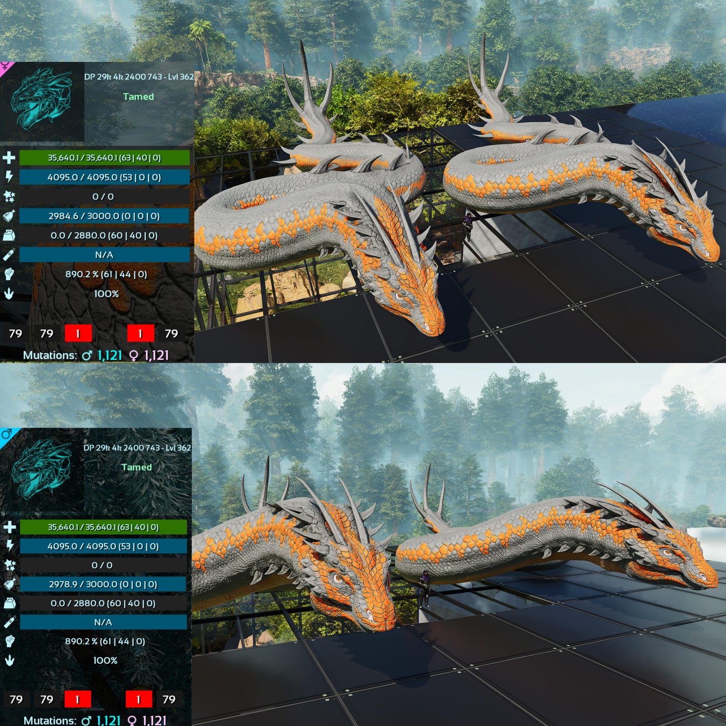 Basilisk Aberrant Dino / Max 362Level