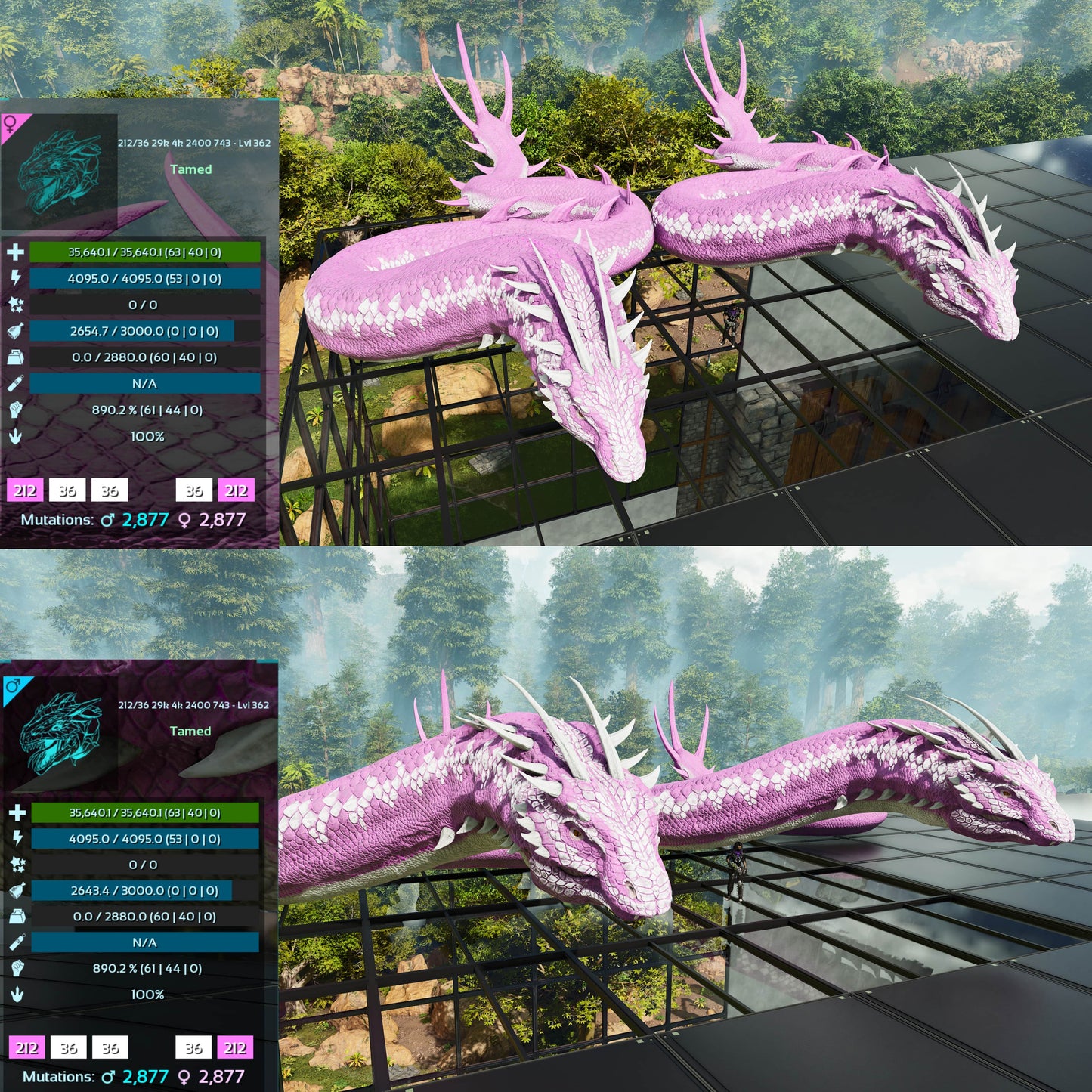 Basilisk Aberrant Dino / Max 362Level