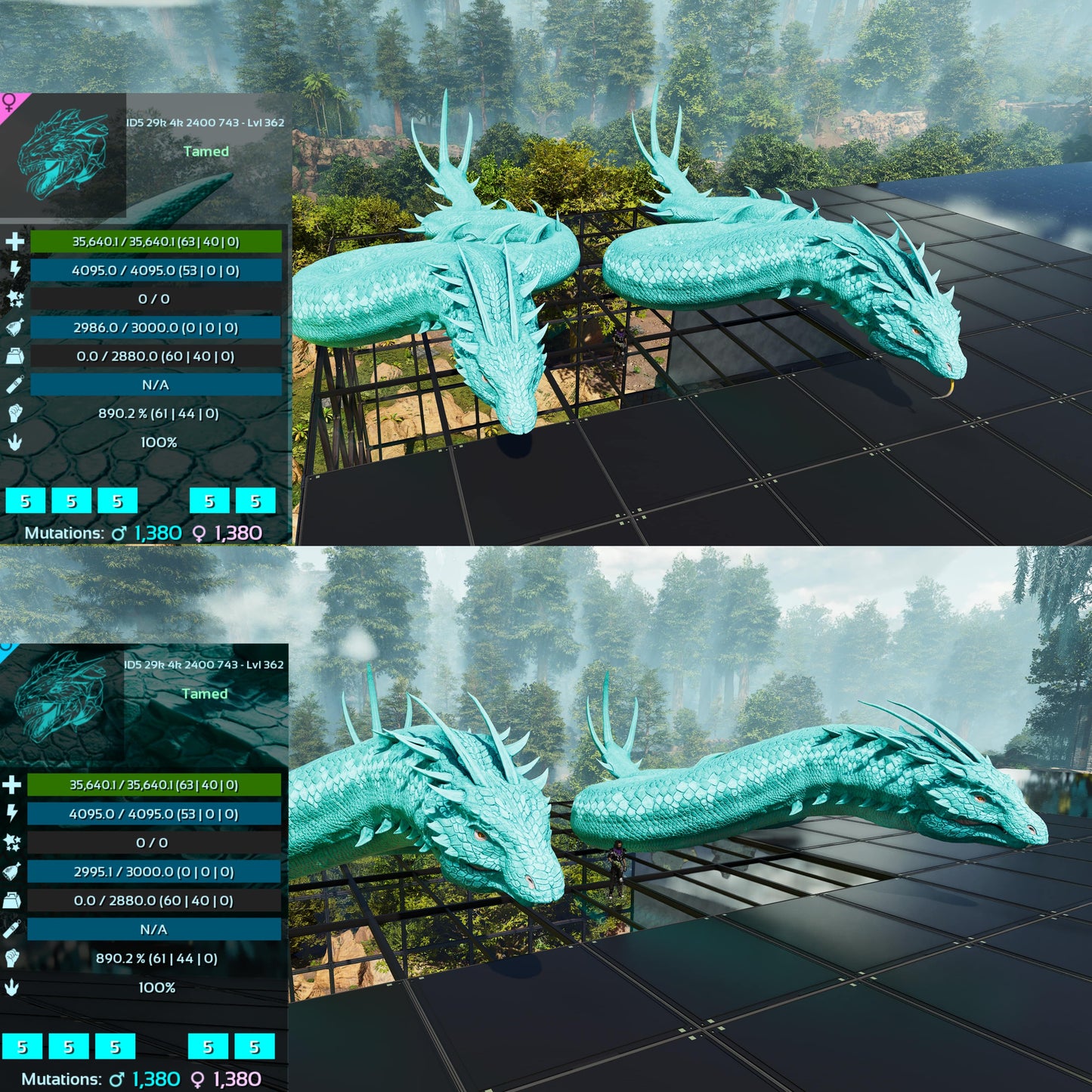 Basilisk Aberrant Dino / Max 362Level