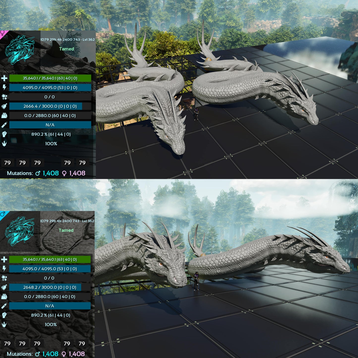 Basilisk Aberrant Dino / Max 362Level