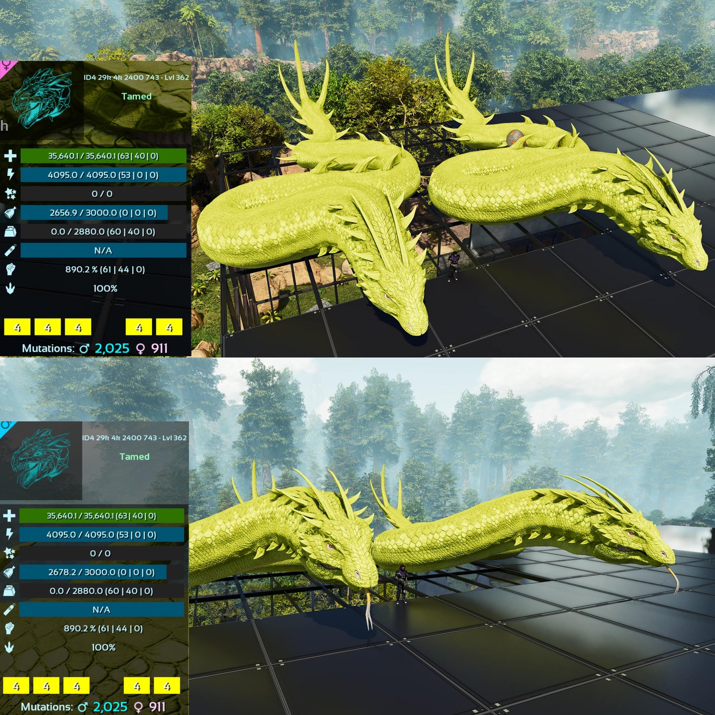 Basilisk Aberrant Dino / Max 362Level