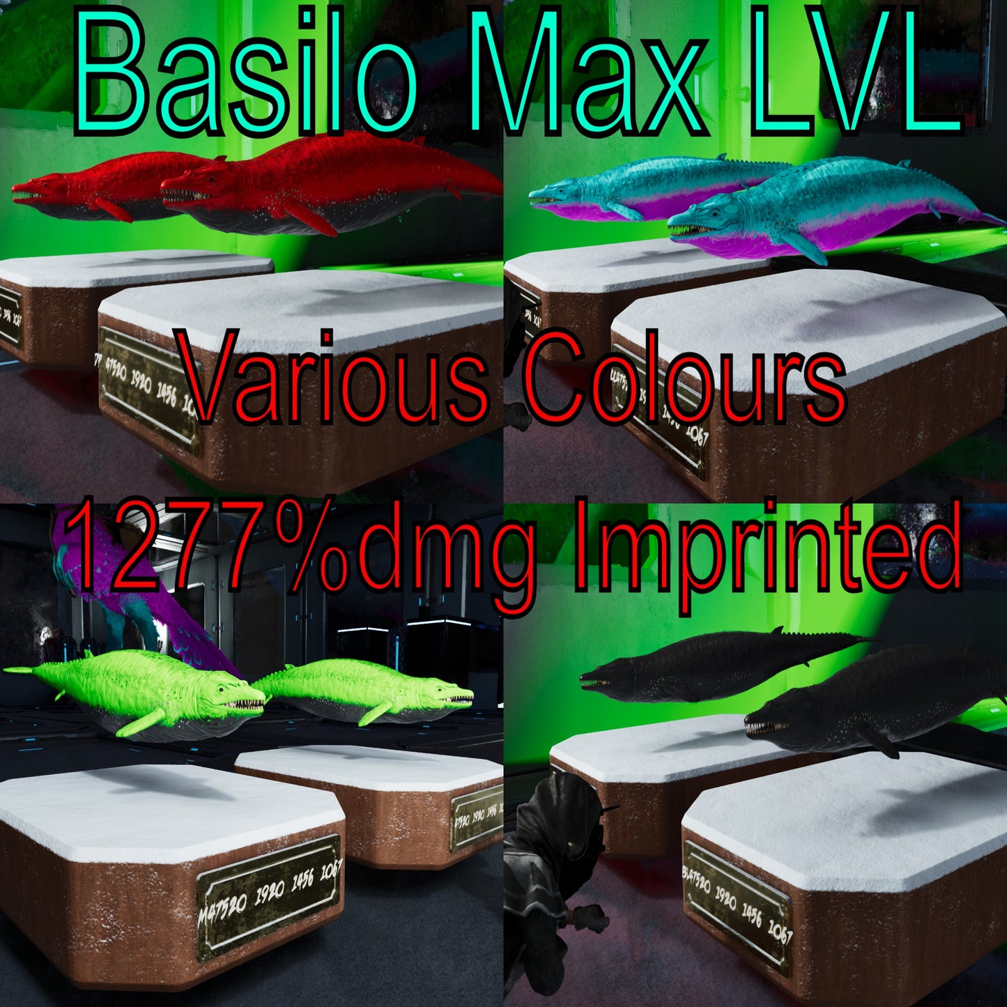 Basilosaurus / Basilo 1277Dmg Imprinted